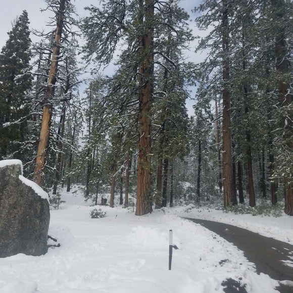 Meet your Posher, Odessa n ray - Picture 4 of 5